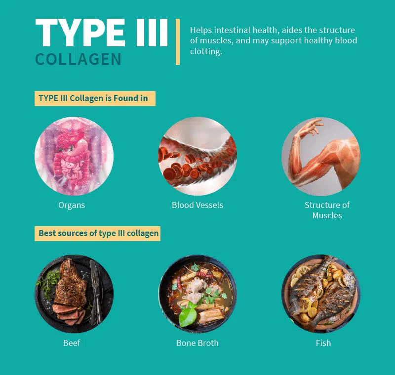 Collagen type III thường bị bỏ quên trong truyền thông và quảng cáo.