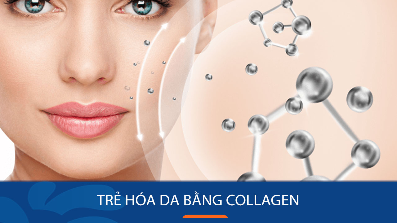 Hình 1: Cấu trúc da với collagen giữ vai trò nâng đỡ và đàn hồi.