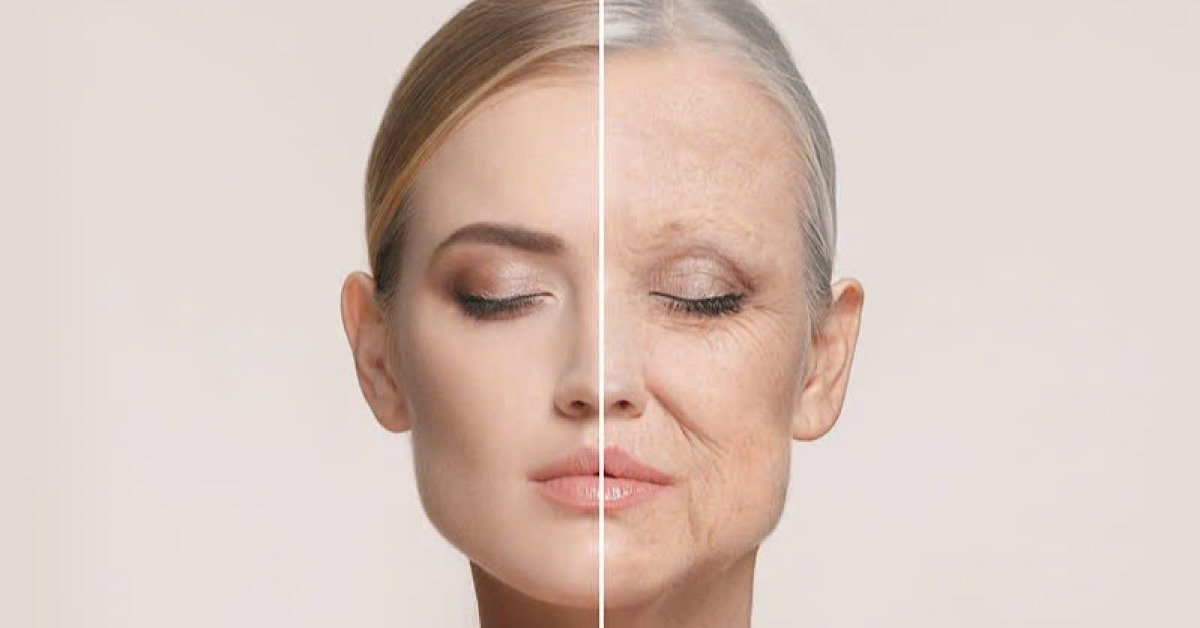 Collagen Type I - “khung nâng mỡ” giúp làn da săn chắc và mịn màng